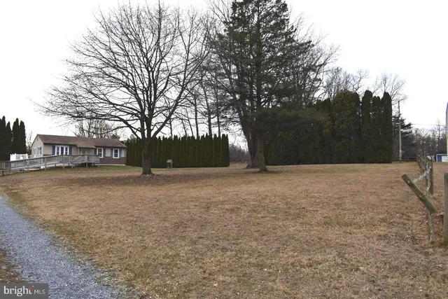a view of outdoor space with trees all around