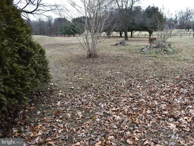 a view of backyard with green space