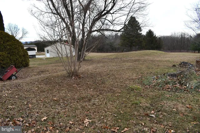 a view of yard with tree