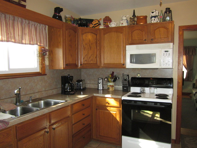 729 Reed Street Beecher, IL 60401 - Photo 3 of 7 Gallery Image 3