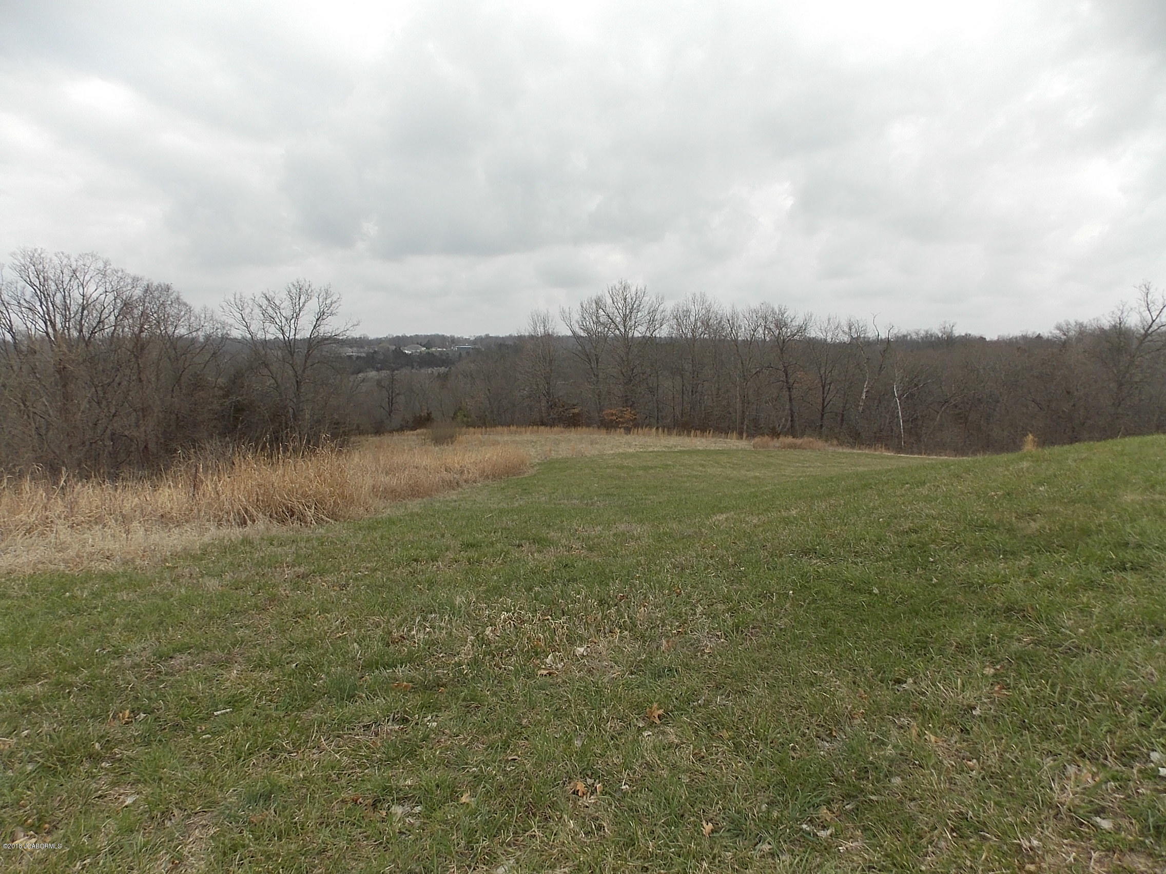 Tbd Halifax Road Holts Summit, MO 65043 - Photo 3 of 3