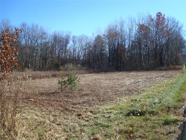 72 Mill Village Road Deerfield, MA 01373 - Photo 6 of 7 Gallery Image 6