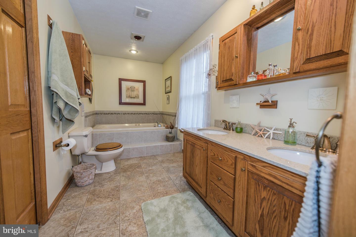 6024 Cold Run Valley Road Berkeley Springs, WV 25411 - Photo 14 of 30 Bath (Master)