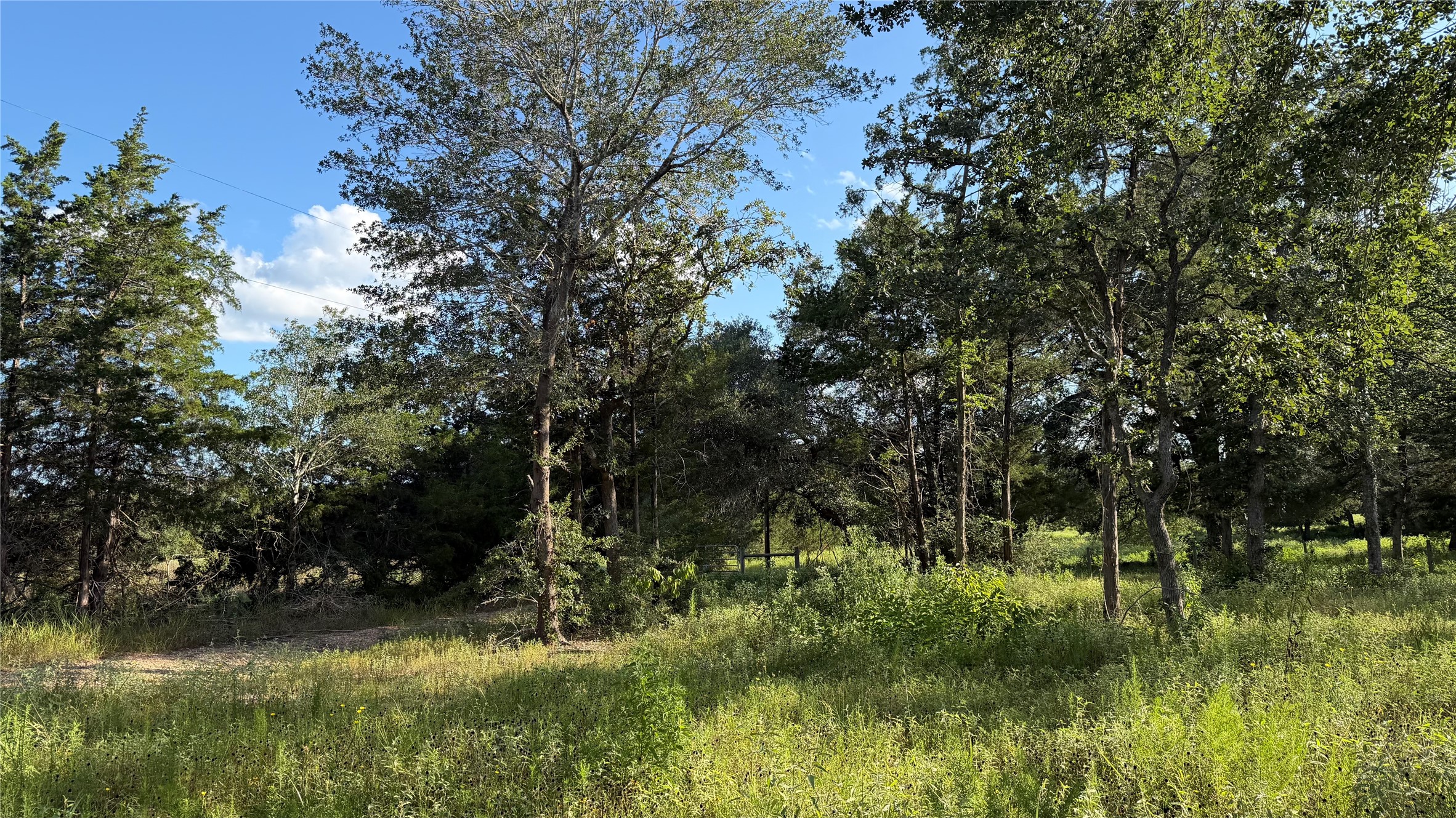 26011 Bernard Road New Ulm, TX 78950 - Photo 18 of 27