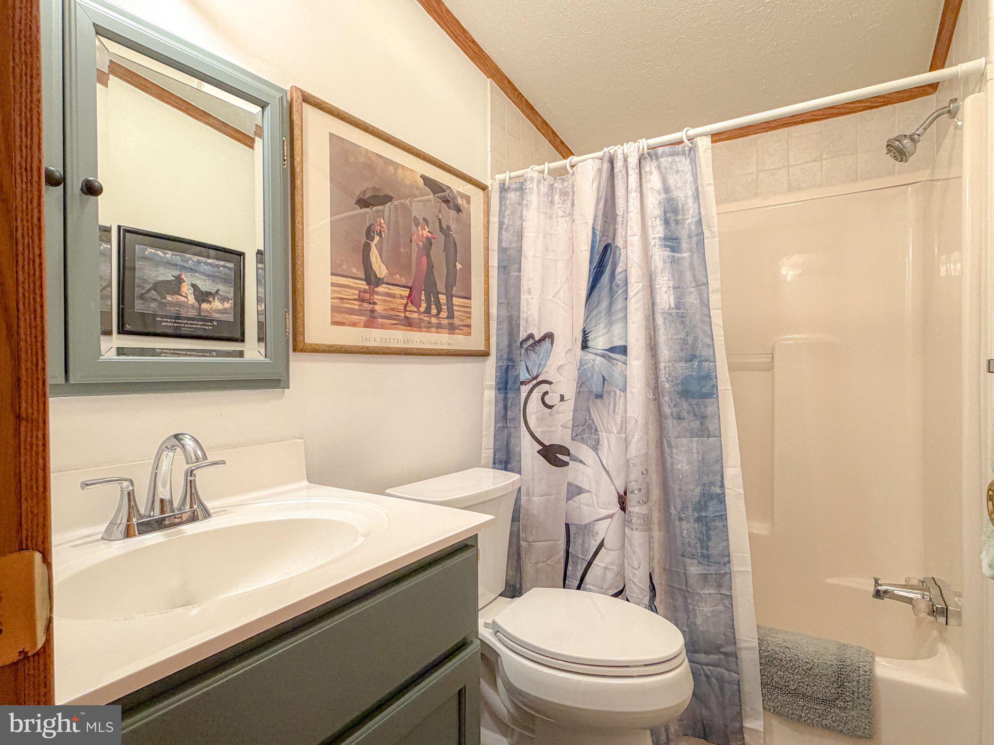 5869 Milligans Cove Road Manns Choice, PA 15550 - Photo 26 of 28 Bathroom number 2