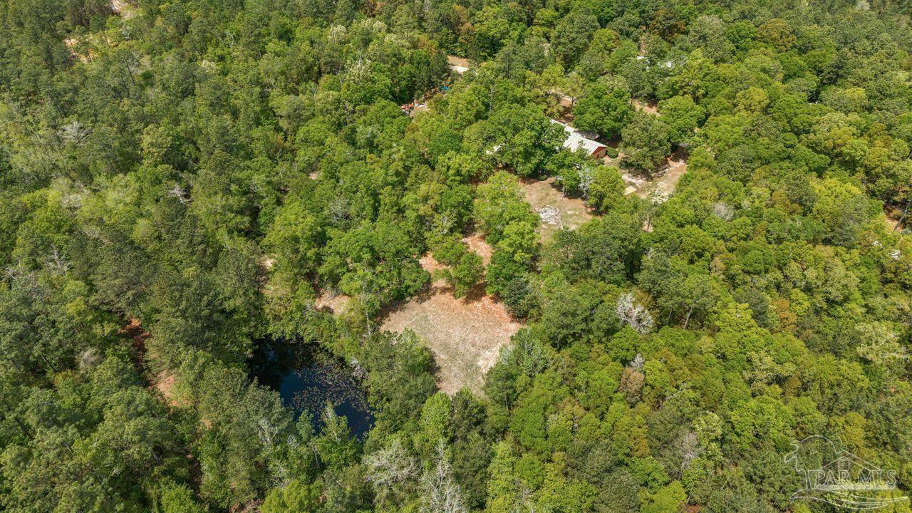 111 Cotton Creek Road McDavid, FL 32568 - Photo 34 of 37 a view of a forest with a tree
