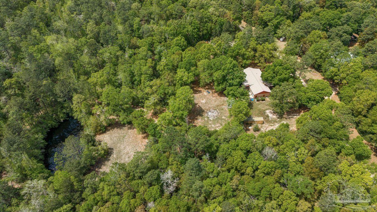 111 Cotton Creek Road McDavid, FL 32568 - Photo 35 of 37 a view of a forest with a houses