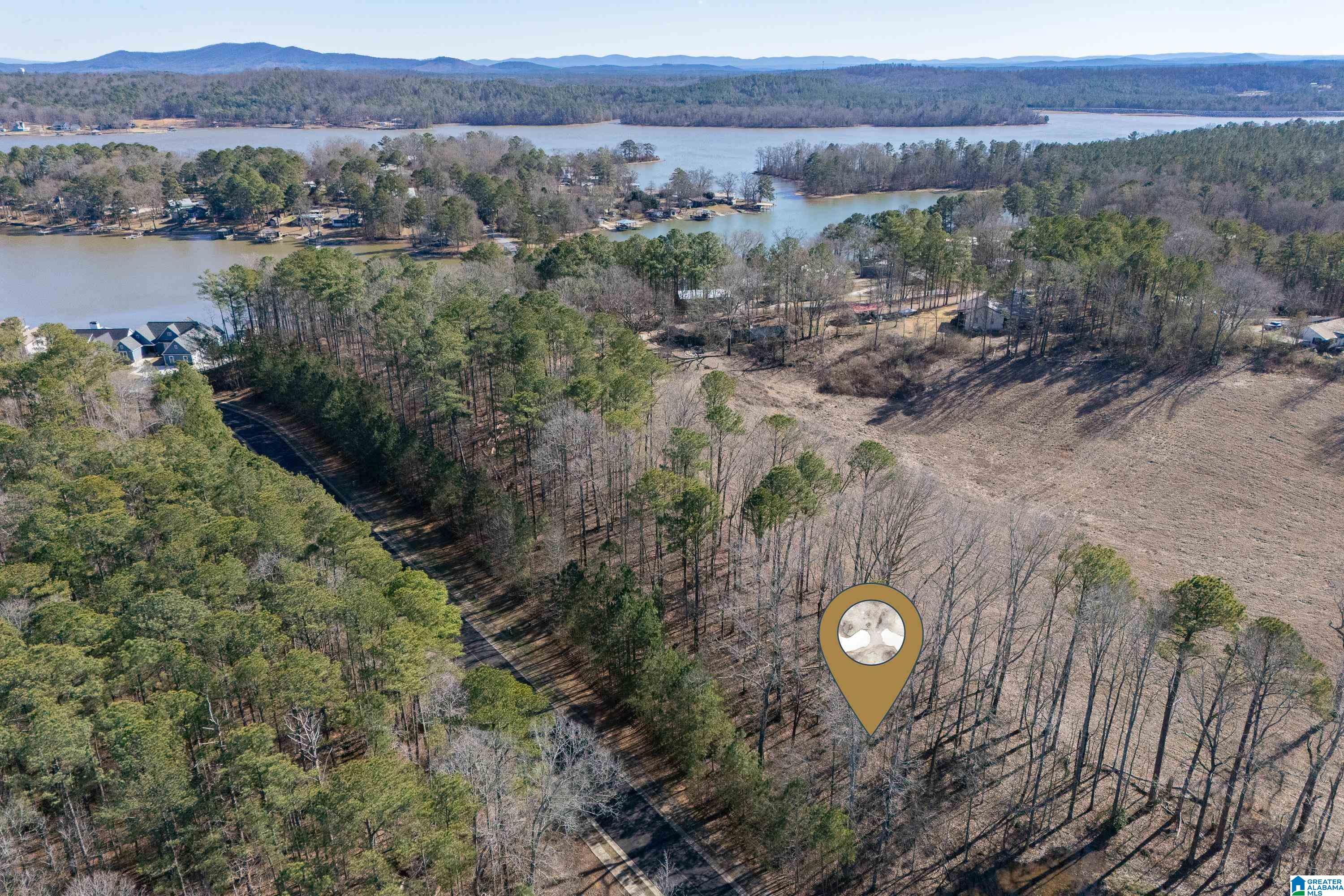 100 Coves Drive Vincent, AL 35178 - Photo 5 of 21