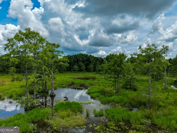 $235,500 | 1 Haynes Road, Edison, GA 39846