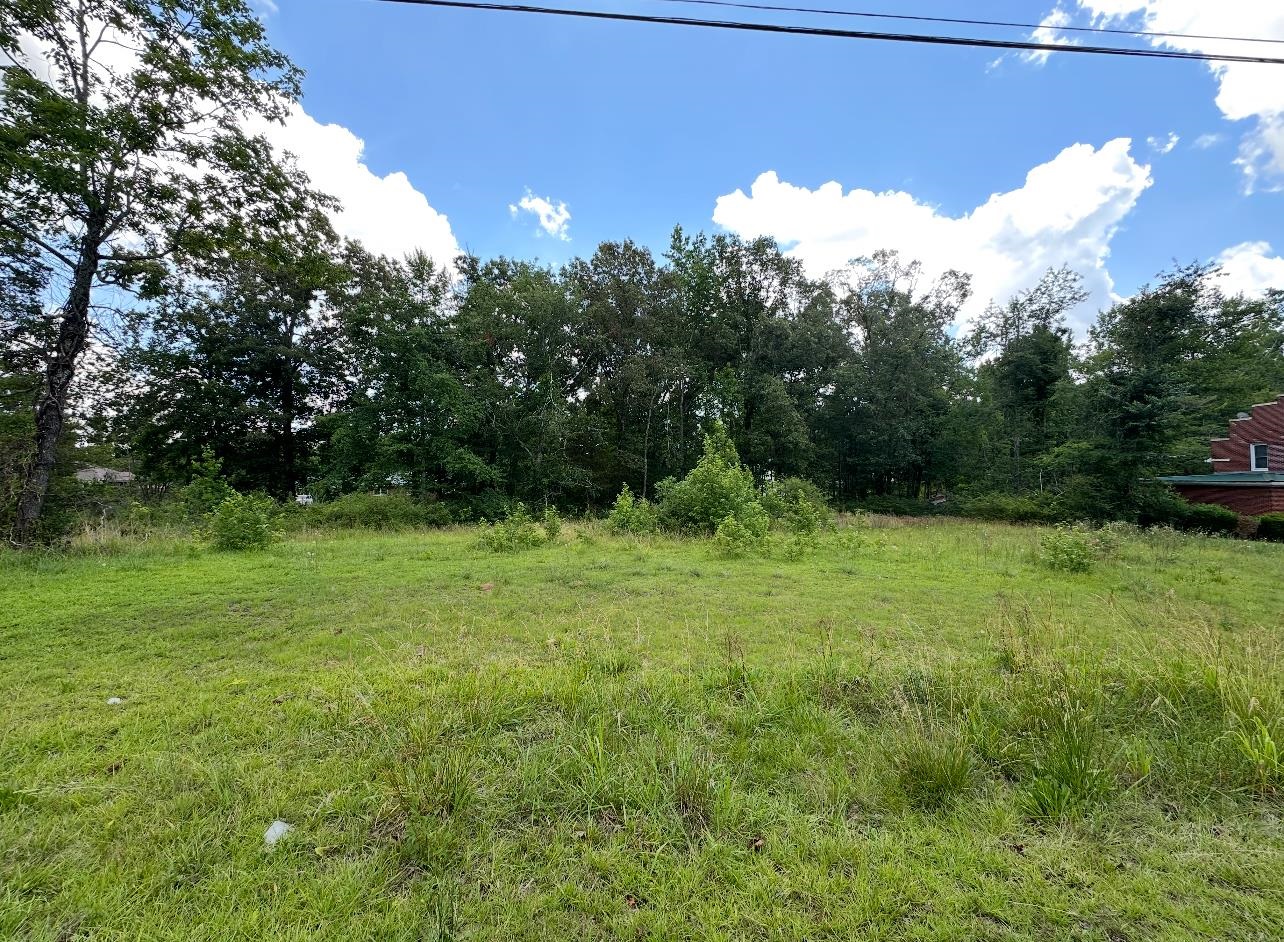 0 Spring Street Savannah, TN 38372 - Photo 1 of 1 Gallery Image 1