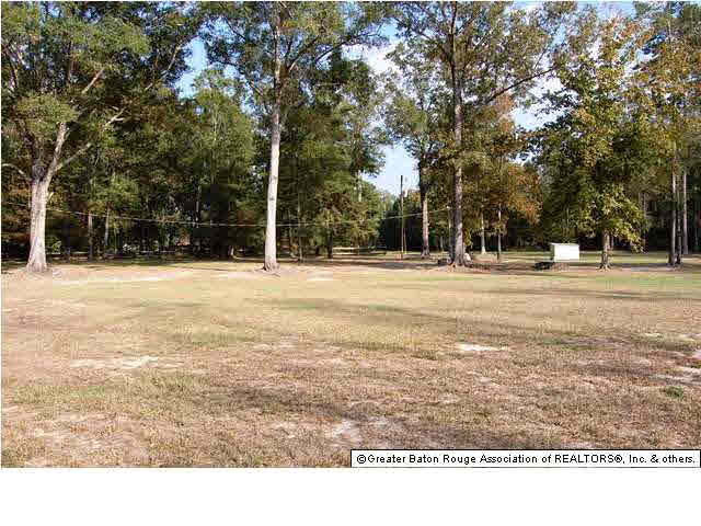 Tbd Homer Graham Road Walker, LA 70785 - Photo 3 of 7