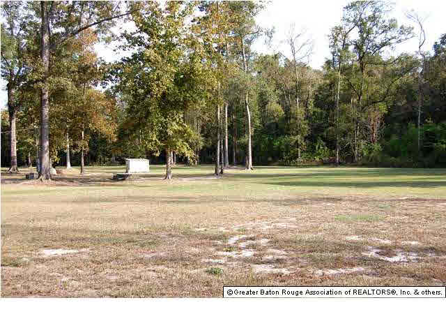 Tbd Homer Graham Road Walker, LA 70785 - Photo 4 of 7