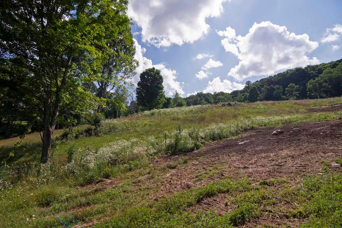 Rich Hollow Road Lewisburg, WV 24901 - Photo 23 of 59 Gallery Image 23