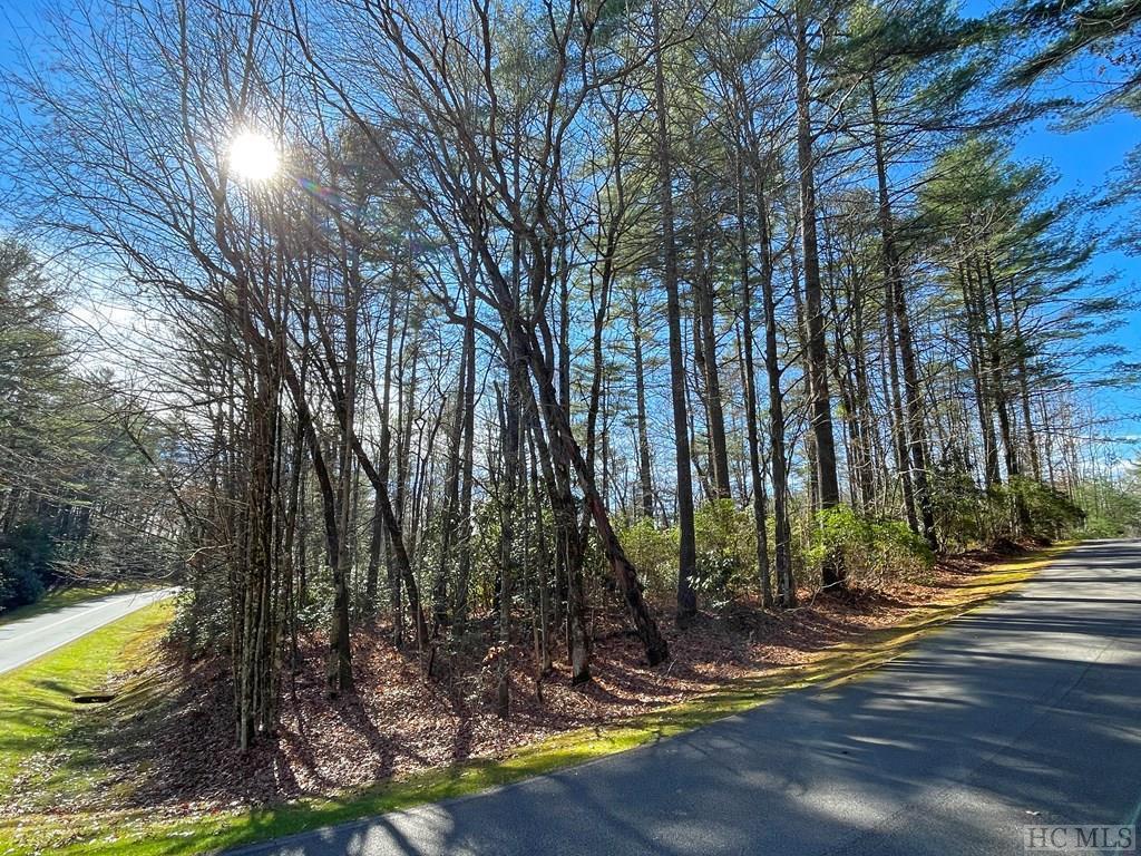 Lot 7 Upper Whitewater Road Sapphire, NC 28774 - Photo 1 of 13 Gallery Image 1