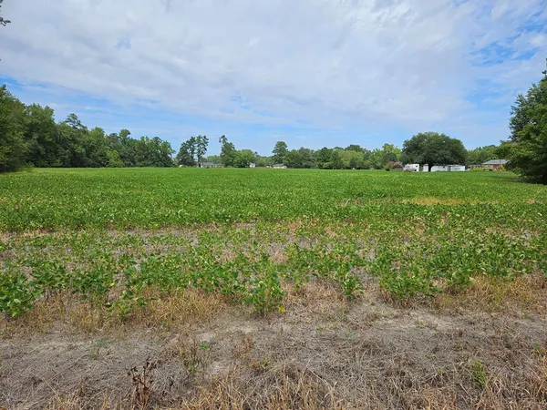$153,000 | Tbd Alice Meyers Drive, Olanta, SC 29114