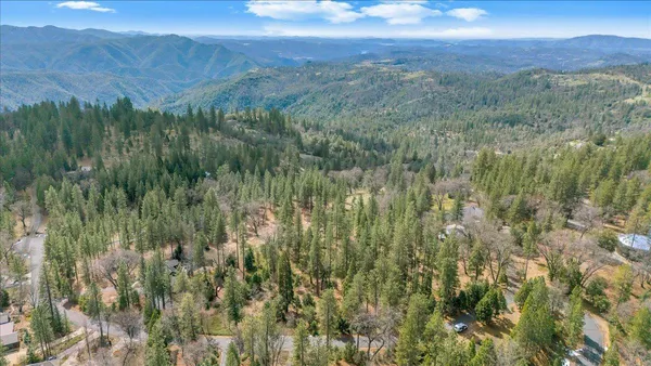 a view of a lush green forest with trees and some houses