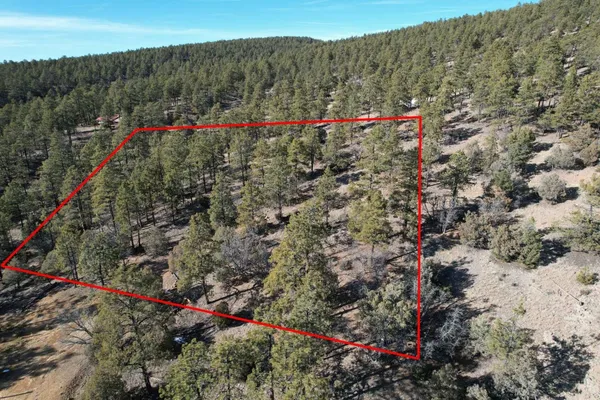 $25,000 | 0 Elk Drive, Los Ojos, NM 87551