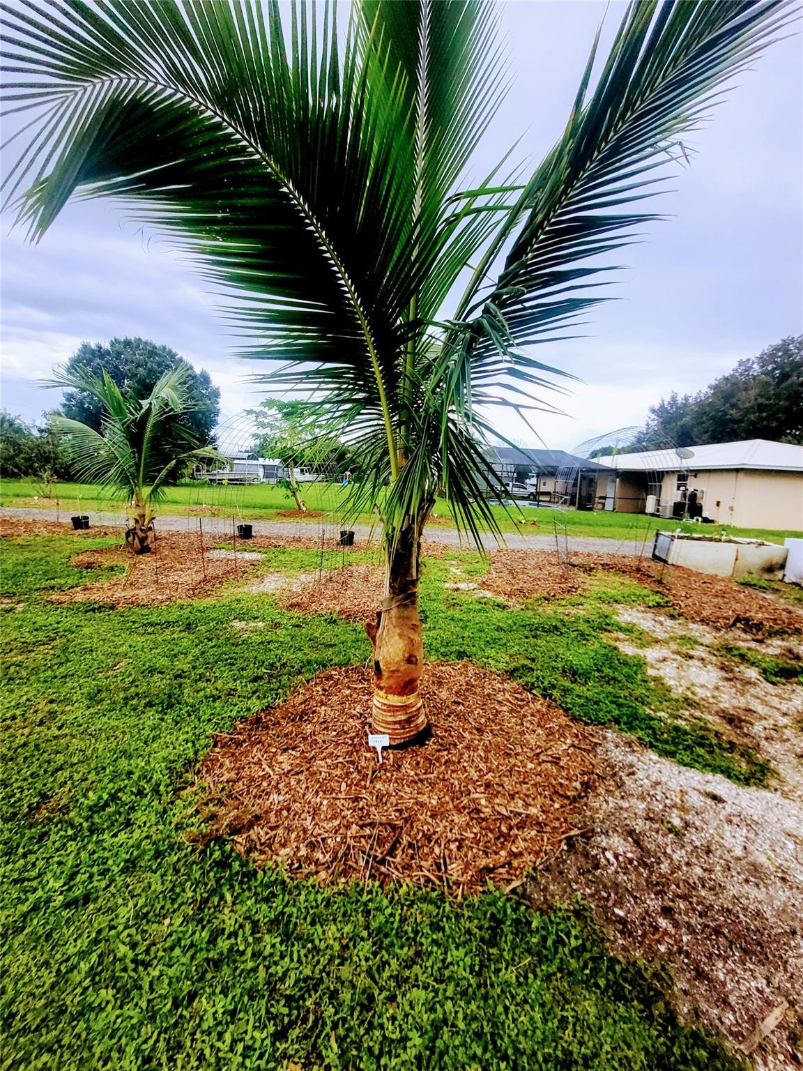 136 Southwest 85th Avenue Okeechobee, FL 34974 - Photo 42 of 59 Photo 42