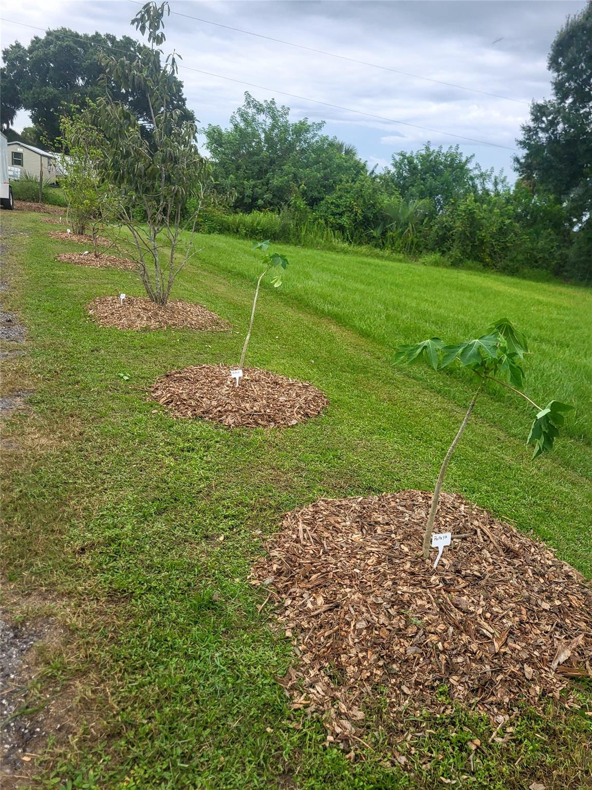 136 Southwest 85th Avenue Okeechobee, FL 34974 - Photo 43 of 59 Photo 43