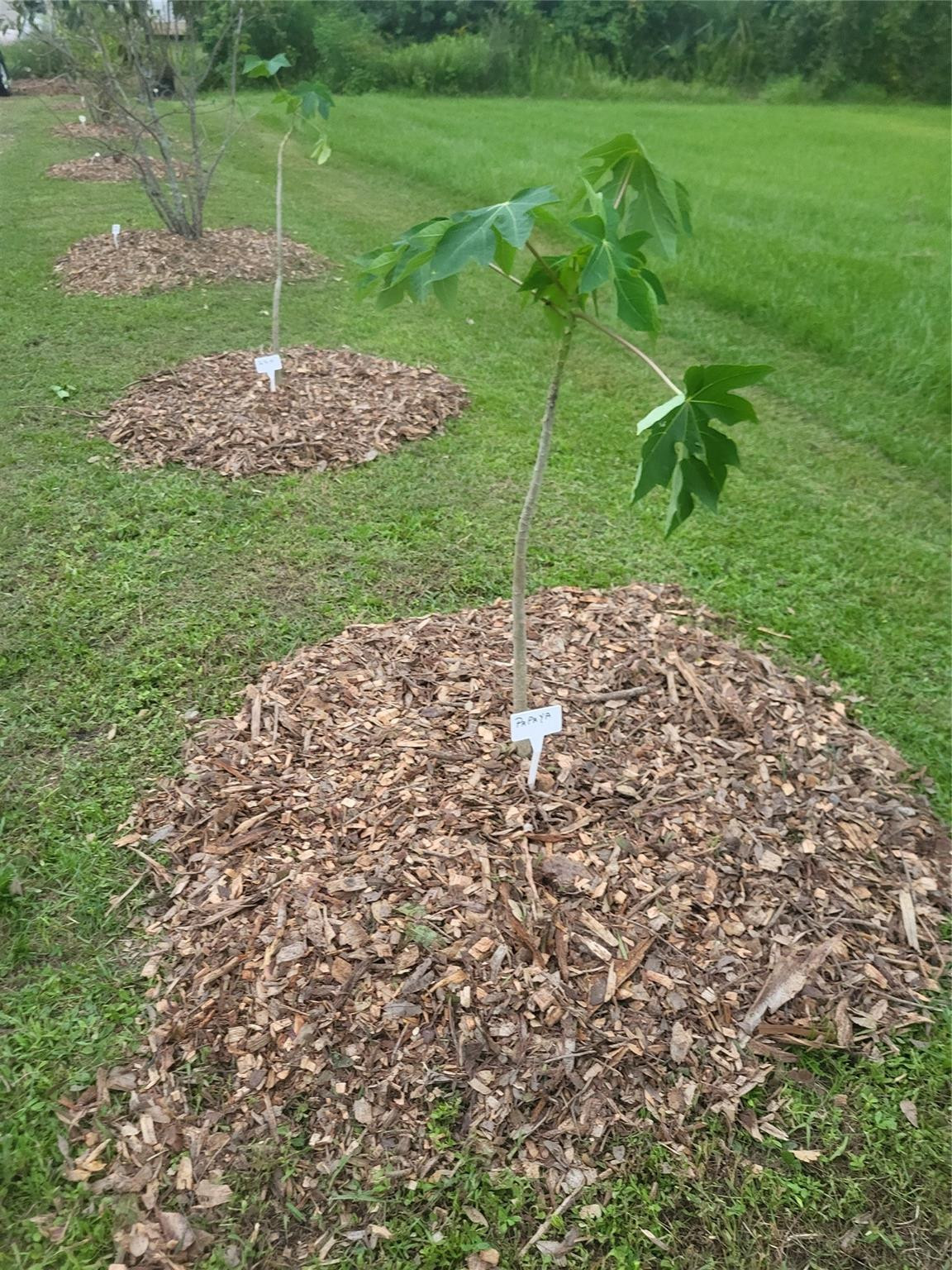 136 Southwest 85th Avenue Okeechobee, FL 34974 - Photo 44 of 59 Photo 44