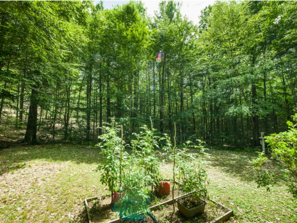 12 Sewalls Pasture Road York, ME 03902 - Photo 15 of 15