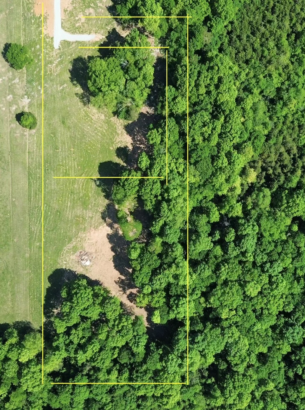 2556 Palmetto Cemetery Road Lewisburg, TN 37091 - Photo 2 of 10