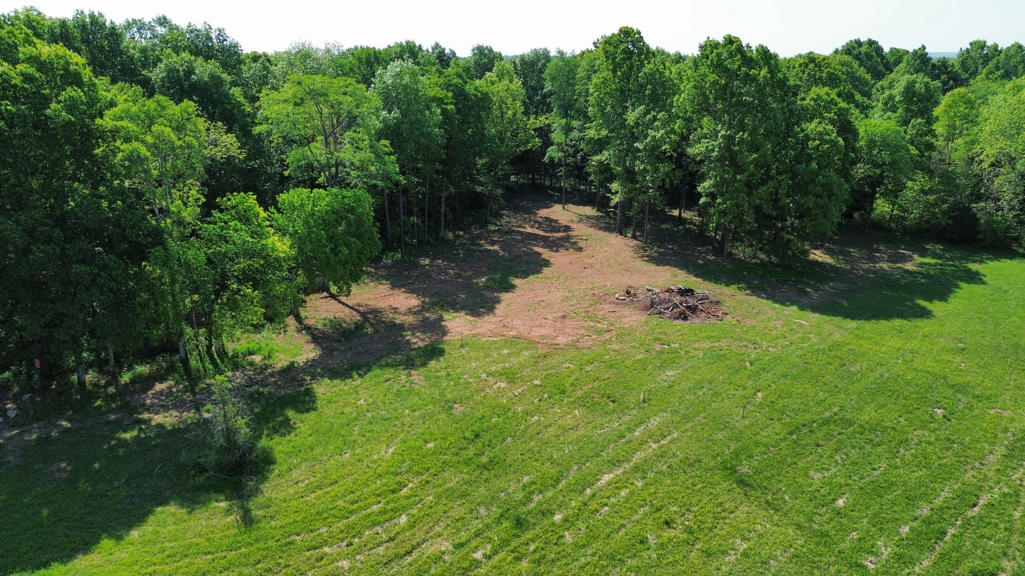 2556 Palmetto Cemetery Road Lewisburg, TN 37091 - Photo 3 of 10