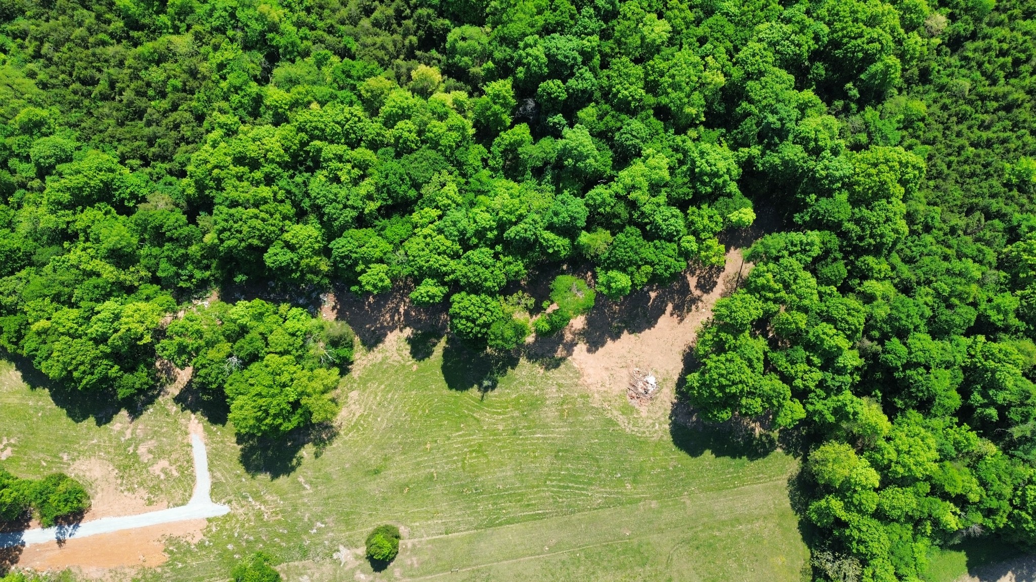 2556 Palmetto Cemetery Road Lewisburg, TN 37091 - Photo 5 of 10