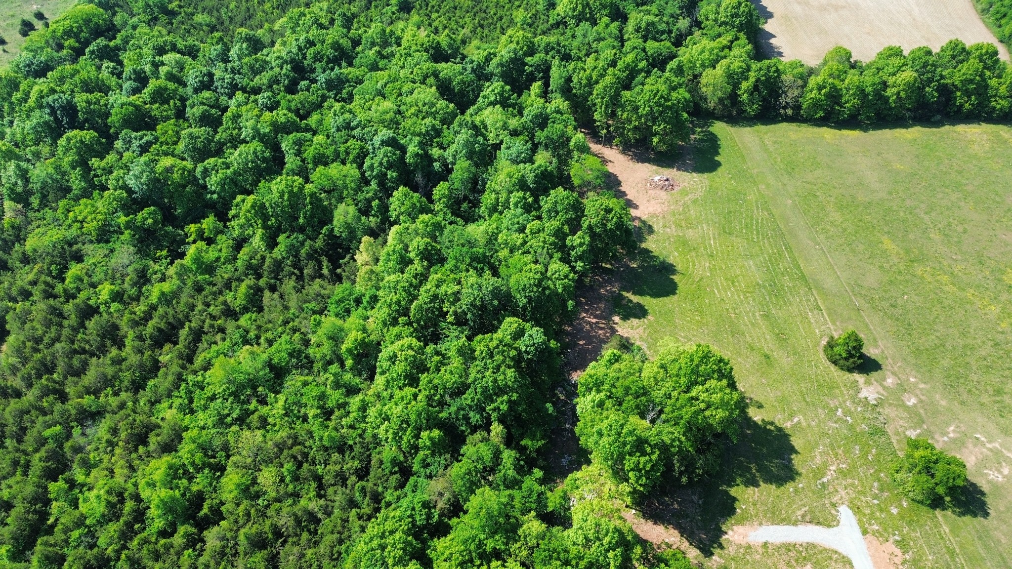 2556 Palmetto Cemetery Road Lewisburg, TN 37091 - Photo 6 of 10