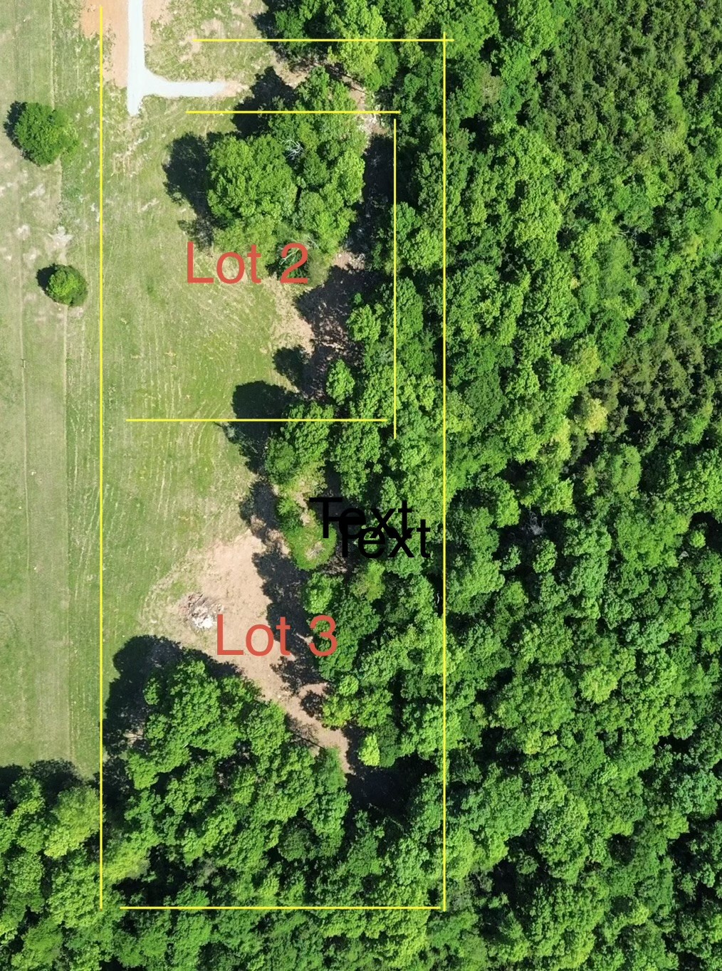 2556 Palmetto Cemetery Road Lewisburg, TN 37091 - Photo 7 of 10