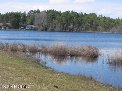 1020 Morehead Road Southport, NC 28461 - Photo 3 of 17 boilingspringlakes2