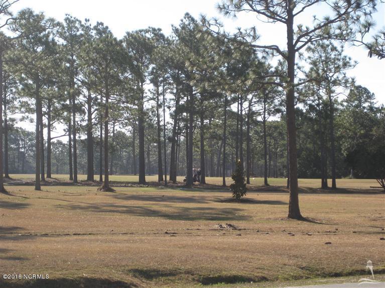 1020 Morehead Road Southport, NC 28461 - Photo 5 of 17 bsl golf