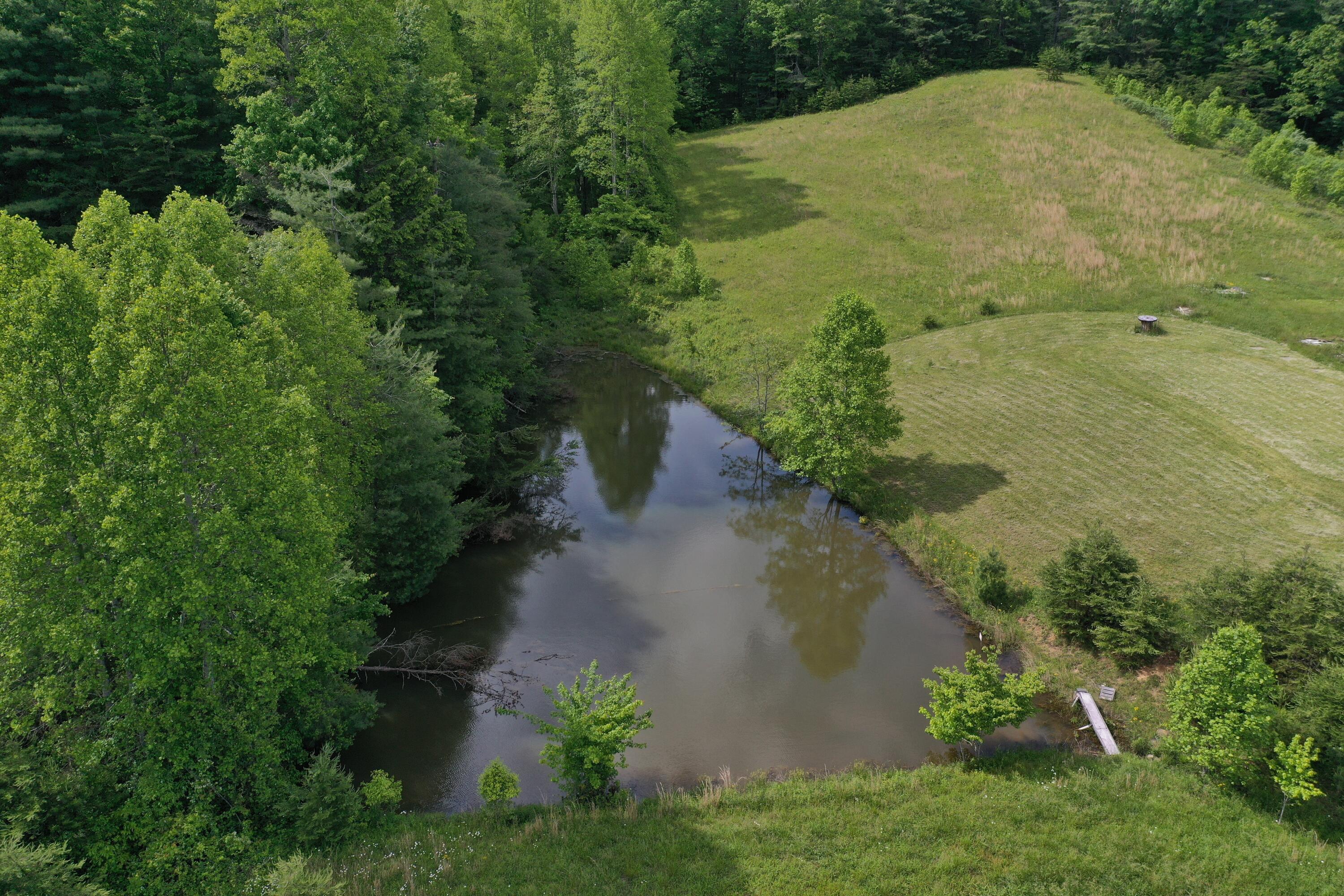 342 Dewey Banks Road Campton, KY 41301 - Photo 6 of 64 006 this 1_4 acre pond is ready to wet a