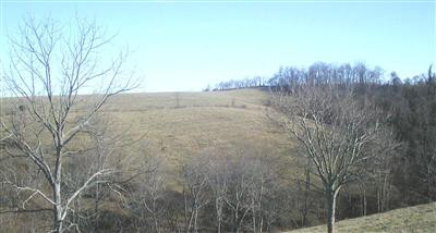 0 Cane Run Road Carlisle, KY 40311 - Photo 6 of 10 Photo 6