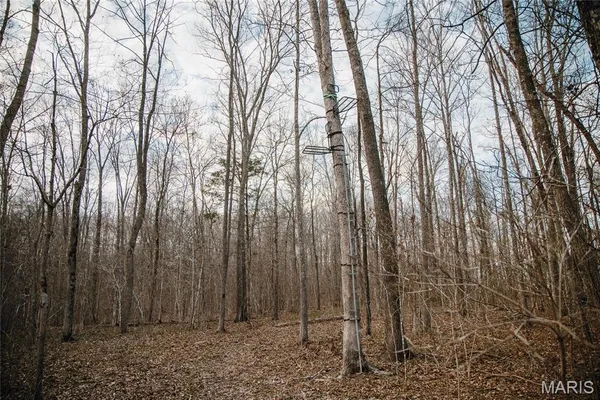 $2,200,000 | 5019 Wayne 380, Patterson, MO 63956