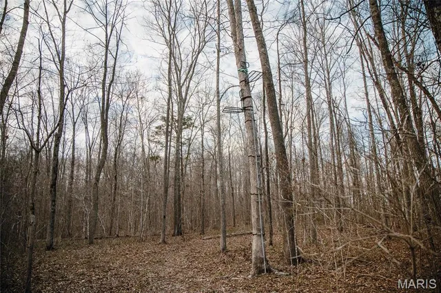 $2,200,000 | 5019 Wayne 380, Patterson, MO 63956