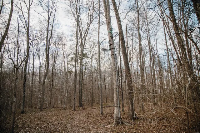 $2,200,000 | 5019 Wayne 380, Patterson, MO 63956