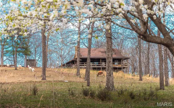 $2,200,000 | 5019 Wayne 380, Patterson, MO 63956