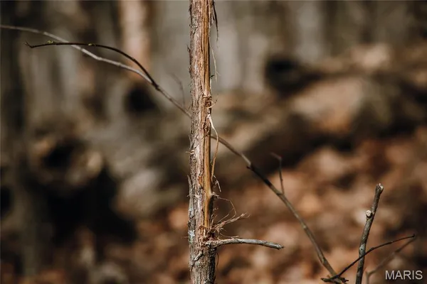 $2,200,000 | 5019 Wayne 380, Patterson, MO 63956