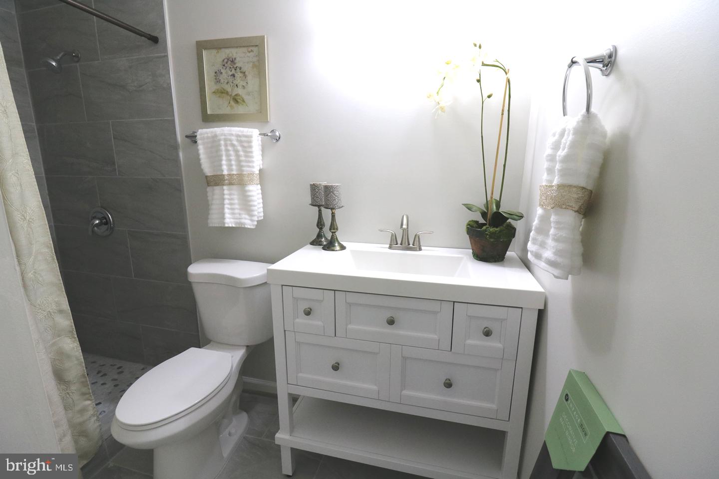 3304 Burgundy Road Alexandria, VA 22303 - Photo 22 of 53 Gallery Image 22