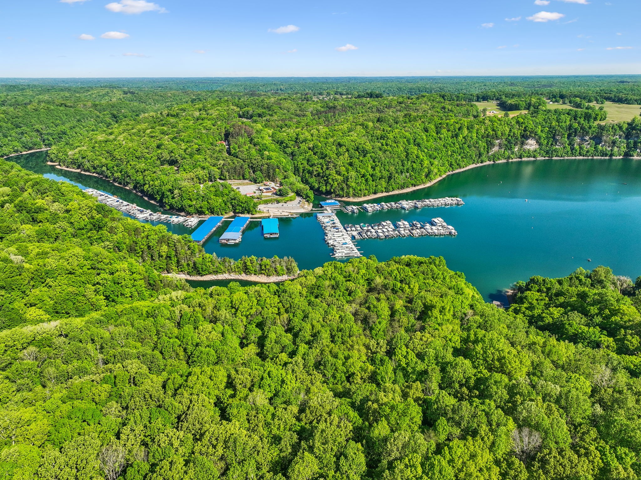 300 Still Point Road Smithville, TN 37166 - Photo 39 of 40 a view of a lake with a city