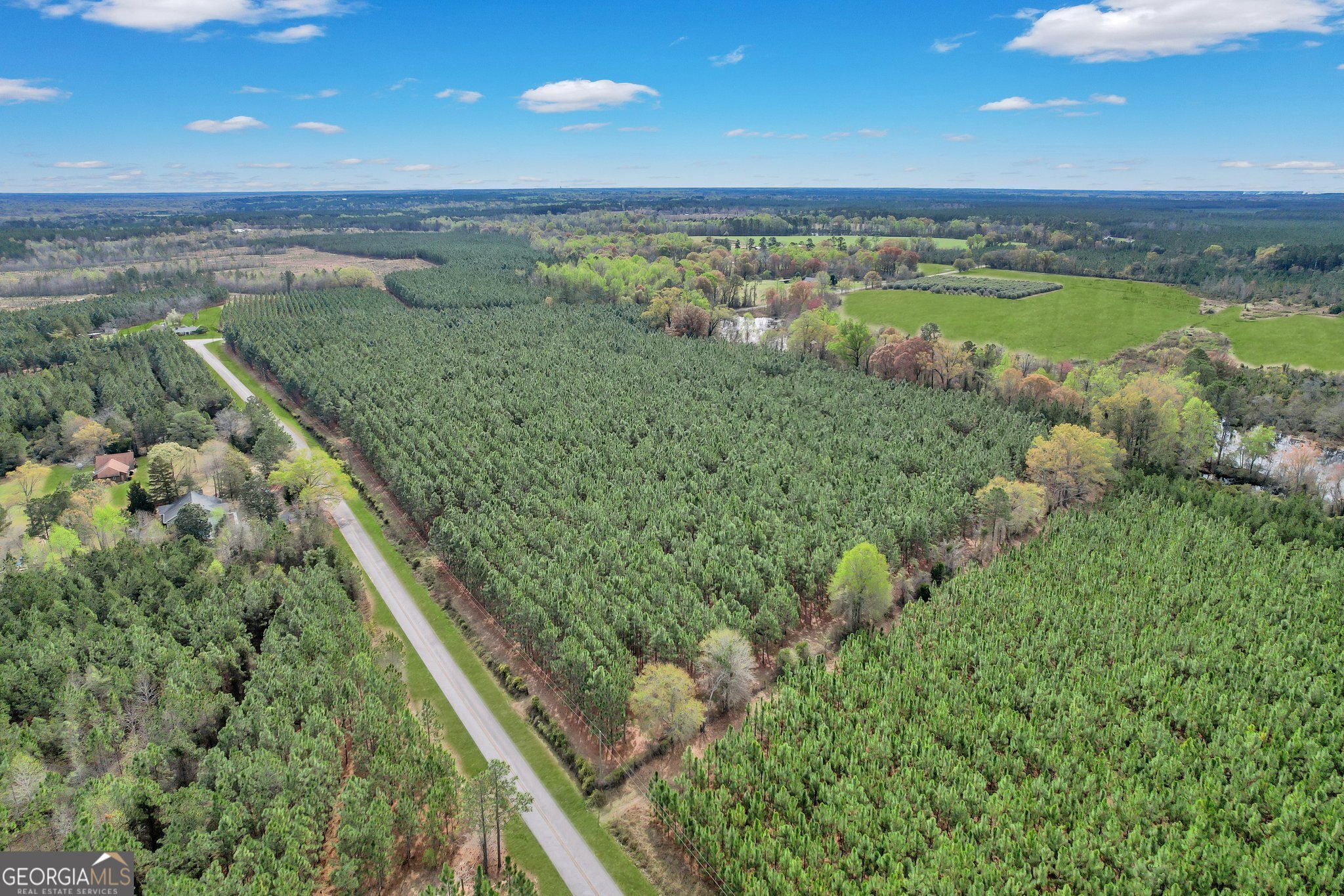 0 Oquinn Loop Odum, GA 31555 - Photo 6 of 8 a view of a lush green outdoor space with a lake view