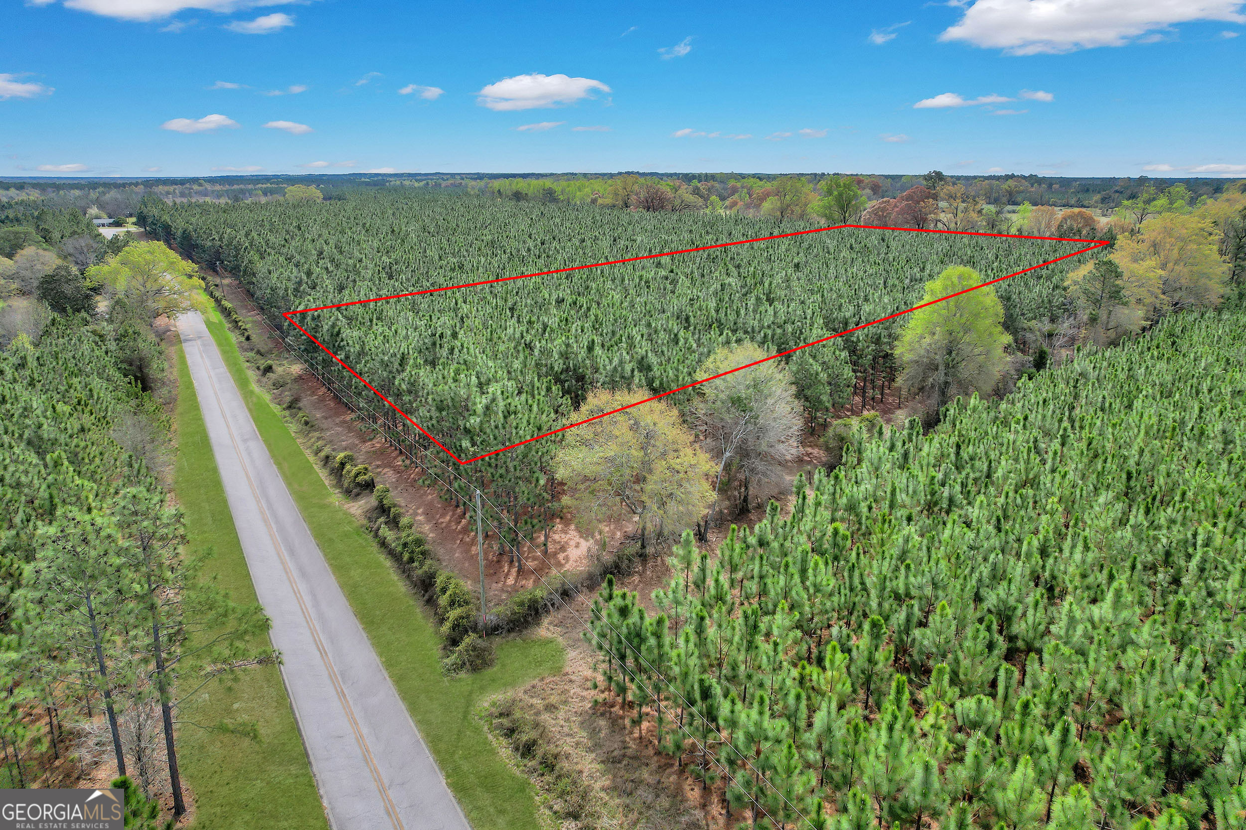 0 Oquinn Loop Odum, GA 31555 - Photo 7 of 8 a view of a garden from a balcony
