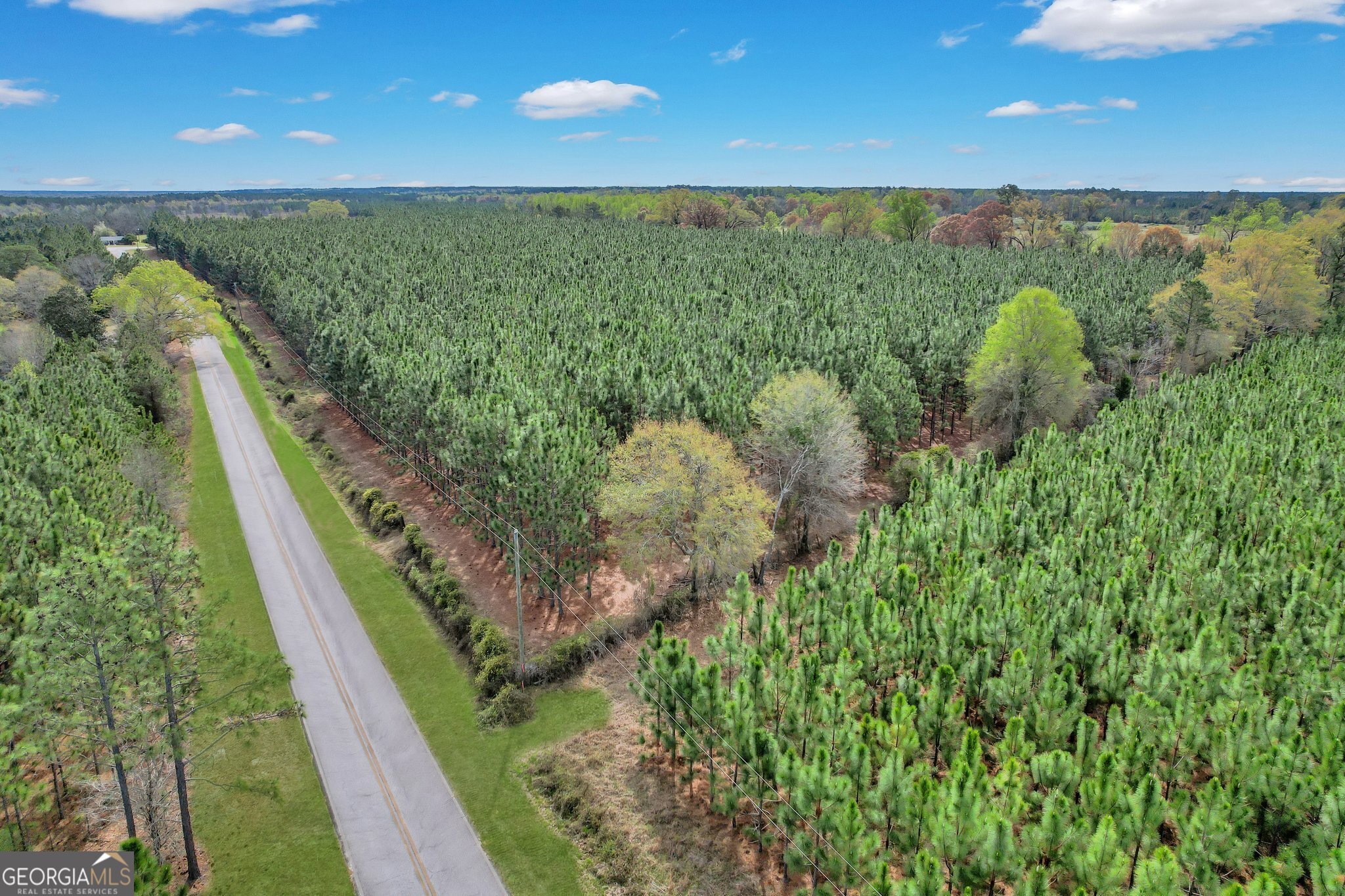 0 Oquinn Loop Odum, GA 31555 - Photo 8 of 8 a view of a yard from a balcony