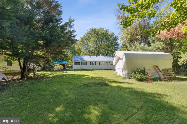 a view of a bunch of trees in a yard
