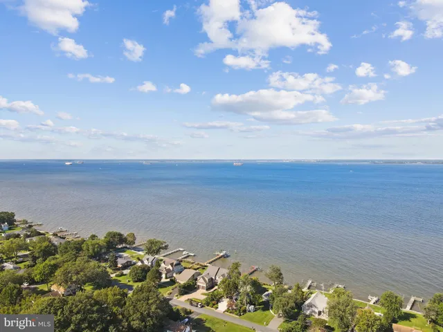 a view of a bunch of flowers in a yard