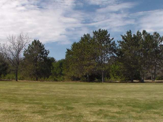 Lot 306 Deerwood Road Minocqua, WI 54548 - Photo 3 of 16 Gallery Image 3