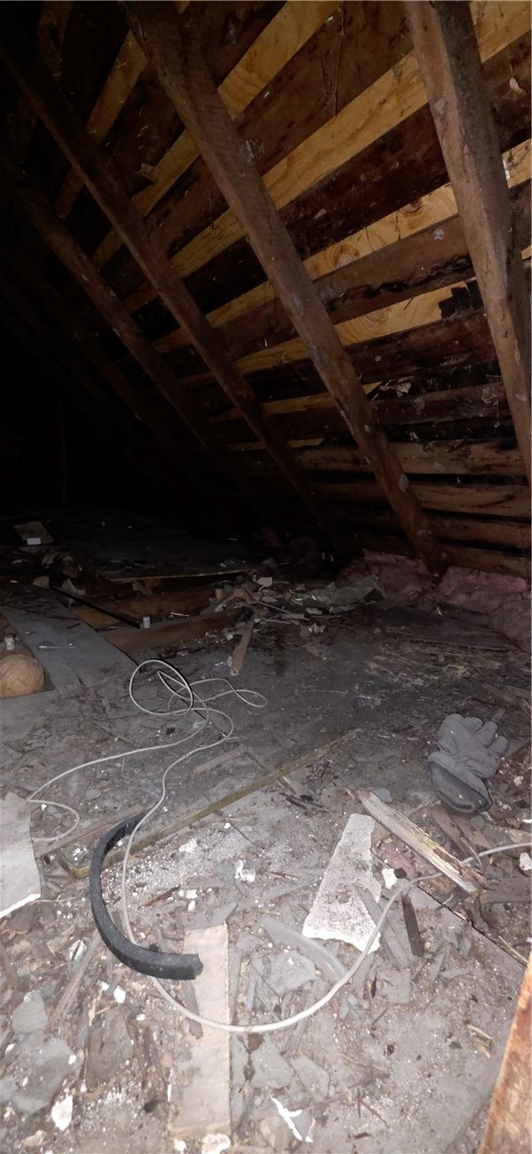 113 North May Street Potomac, IL 61865 - Photo 18 of 20
