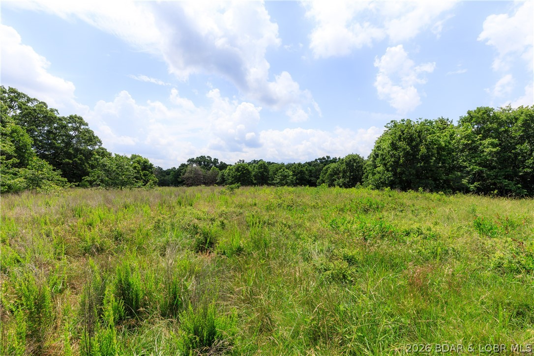 400 Hidden Acres Road Camdenton, MO 65020 - Photo 5 of 39