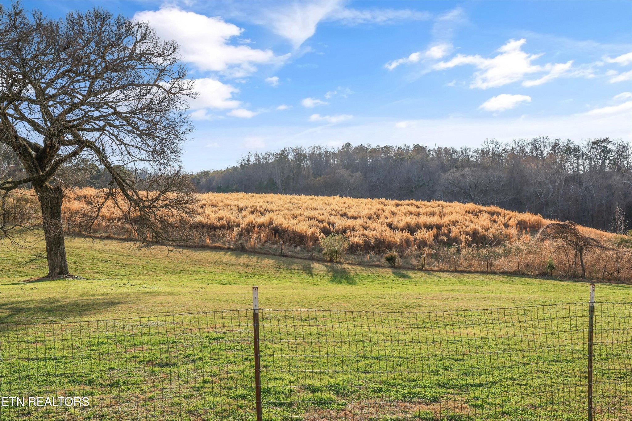 7969 Glendale Community Road Greenback, TN 37742 - Photo 41 of 56 a view of an ocean from a city